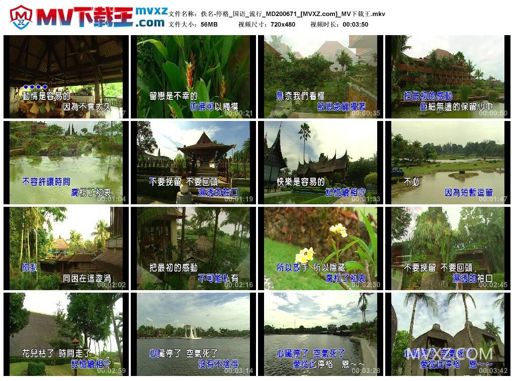 佚名-停格_国语_流行_MD200671